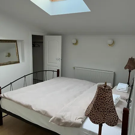 公寓 Erdvus 3-ju Miegamuju Butas 考纳斯