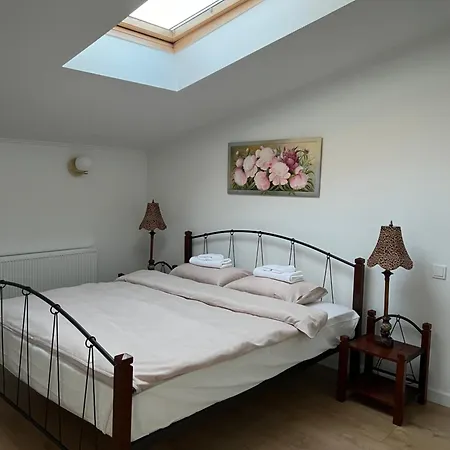 公寓 Erdvus 3-ju Miegamuju Butas 考纳斯