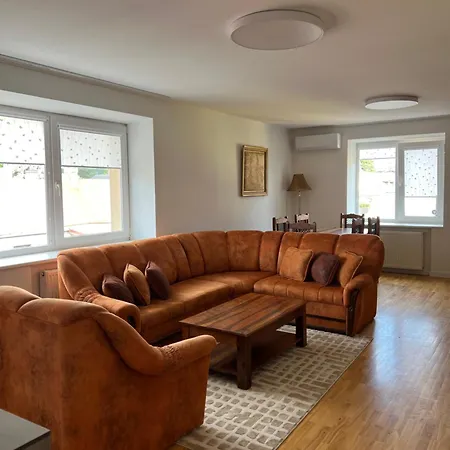 公寓 Erdvus 3-ju Miegamuju Butas *