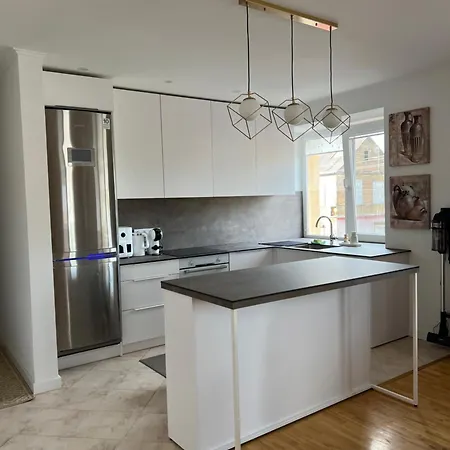 Erdvus 3-ju Miegamuju Butas 公寓 考纳斯