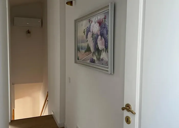 Erdvus 3-ju Miegamuju Butas Apartamento *