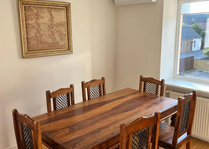 Erdvus 3-ju Miegamuju Butas * 考纳斯